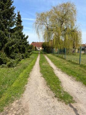 Foto - 4 Zimmer Doppelhaushälfte zum Kaufen in Genthin