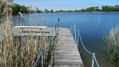 Foto - 4 Zimmer Bungalow zum Kaufen in Egeln