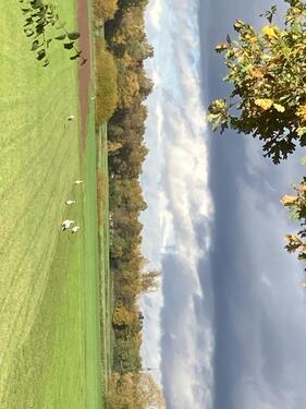 Foto - Grundst&uuml;ck zur Miete in Erlangen