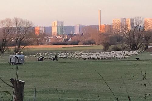 Foto - Grundst&uuml;ck in Erlangen zur Miete