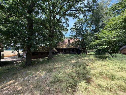 Foto - Einfamilienhaus in Rees zum Kaufen