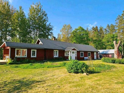 Foto - Ferienhaus Schweden Småland - Natur pur - ab Juni frei