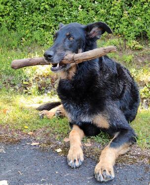 Foto - Mitbewohner - 700,00&nbsp;EUR Kaltmiete, ca.&nbsp; 60,00&nbsp;m&sup2;