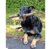 Mitbewohner - 700,00&nbsp;EUR Kaltmiete, ca.&nbsp; 60,00&nbsp;m&sup2; in Köln (PLZ: 50931) Lindenthal