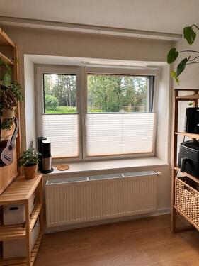 Foto - 1 Zimmer Erdgeschoßwohnung zur Miete in Vechta