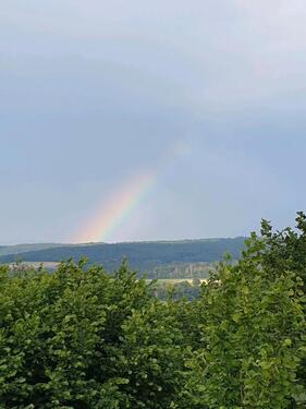 Foto - Einfamilienhaus zum Kaufen in Trendelburg