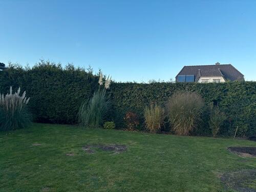 Foto - Einfamilienhaus zur Miete in Wietze