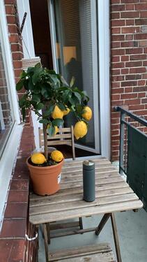 Foto - Privat:super zentrale 2,5Zi-Wohnung zw. AlsterInnenstadt