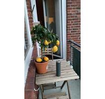 Privat:super zentrale 2,5Zi-Wohnung zw. AlsterInnenstadt - Hamburg Hohenfelde