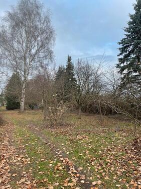 Foto - Grundstück in Gifhorn