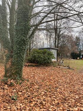 Foto - Grundstück in Gifhorn zum Kaufen