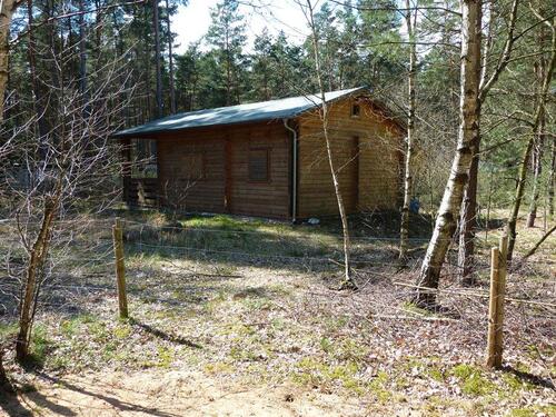 Foto - LAUBE BLOCKHAUS GARTEN GRUNDSTÜCK BORKWALDE POTSDAM URLAUB