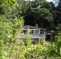 Vermietung, Wohnung am Waldrand, sonnig, ruhig, Ferienhaus - Neu-Anspach