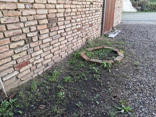 Foto - Blickdichter Garten mit exklusiver Ausstattung in Falkensee