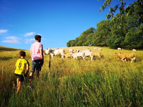Foto - Etagenwohnung in Klingenberg