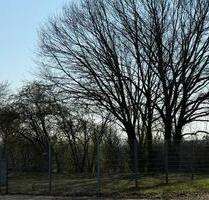 Sichere Stellplätze für Wohnmobile, Lkw und Anhänger zu vermieten - Haltern am See