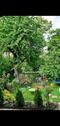 Foto - Einfamilienhaus in Marbach am Neckar zum Kaufen