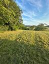 Foto - Gartengrundstück Dimbach - 60,00 EUR Kaltmiete, ca.  0,00 m²
