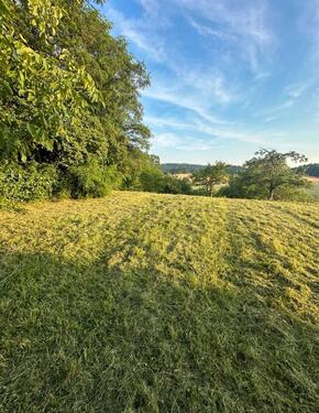 Foto - Gartengrundstück Dimbach - 60,00 EUR Kaltmiete, ca.  0,00 m²
