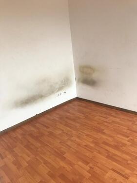 Foto - 4.5 Zimmer Etagenwohnung zur Miete in Bochum