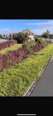 Foto - Einfamilienhaus in Nordenham