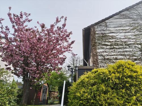 Foto - Charmantes Reihenendhaus mit Garten in Seevetal