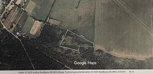 Foto - Grundstück in Magdeburg