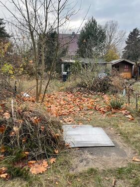 Foto - Grundstück in Berlin