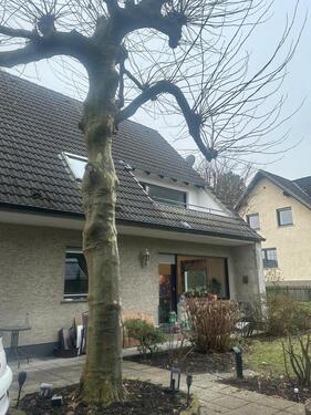 Foto - 3 Zimmer Etagenwohnung in Dortmund