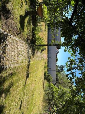 Foto - 4 Zimmer Einfamilienhaus zum Kaufen in Annaburg
