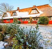 2 Zimmer Wohnung unter Reet warm - Wensin