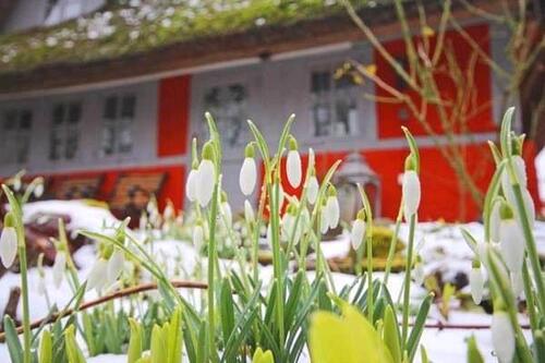 Foto - 2 Zimmer Dachgeschoßwohnung zur Miete in Wensin