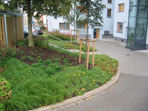 Foto - Etagenwohnung zur Miete in Nordhausen