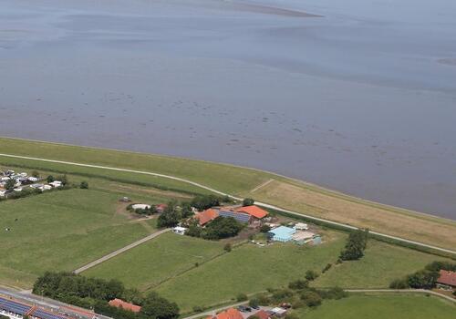 Foto - Urlaub auf dem Bauernhof direkt am Nordseedeich