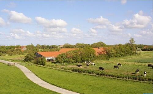 Foto - andere in Esens