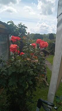 Foto - 