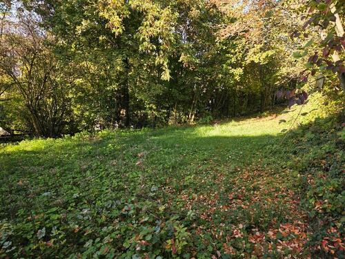 Foto - 2 Zimmer Etagenwohnung zur Miete in Würzburg