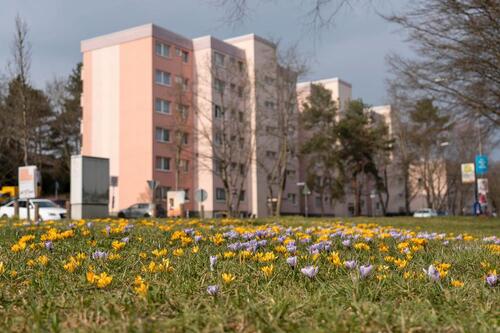 Foto - andere zur Miete in Wiesbaden