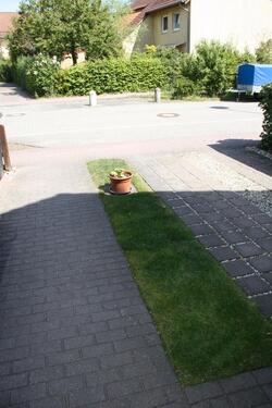 Foto - Reihenhaus in Mühlenbecker Land zum Kaufen