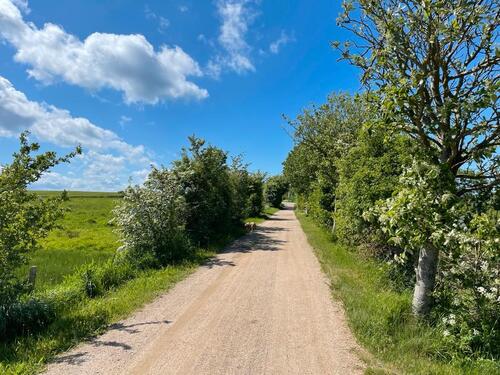 Foto - Etagenwohnung in Heiligenhafen