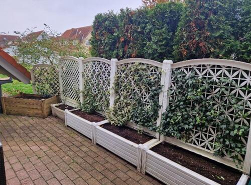 Foto - 2 Zimmer Terrassenwohnung zur Miete in Naunhof