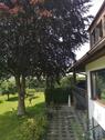 Foto - Etagenwohnung in Hof