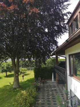 Foto - Etagenwohnung in Hof