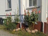 Foto - Einfamilienhaus zum Kaufen in Sellin