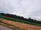 Foto - Ackerfläche in der Gemeinde Leiblfing