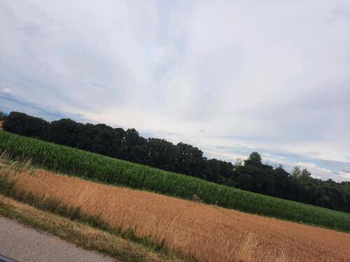 Foto - Ackerfläche in der Gemeinde Leiblfing