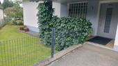 Foto - Einfamilienhaus in Grafenau