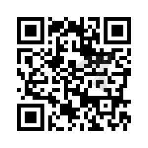 Foto - 2 Zimmer Etagenwohnung zur Miete in Zwickau