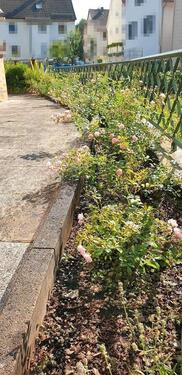 Foto - 5 Zimmer Reihenhaus in Neckargerach