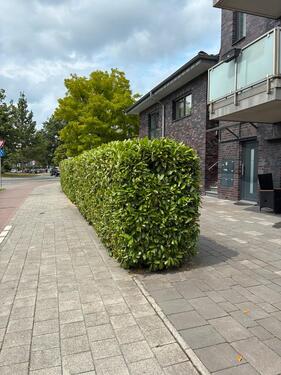 Foto - Provisionsfreie Eigentumswohnungen in Münster Gievenbeck